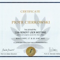 Powiększ obraz: certificate 7