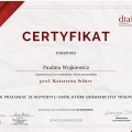 Powiększ obraz: certificate 8