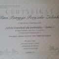 Powiększ obraz: certificate 15