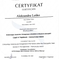 Powiększ obraz: certificate 20
