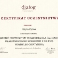 Powiększ obraz: certificate 9