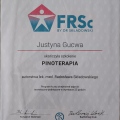 Powiększ obraz: certificate 9
