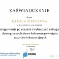 Powiększ obraz: certificate 9
