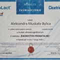 Powiększ obraz: certificate 40