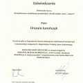 Powiększ obraz: certificate 7
