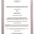 Powiększ obraz: certificate 4