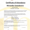 Powiększ obraz: certificate 4