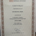 Powiększ obraz: certificate 2