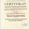 Powiększ obraz: certificate 1