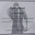 Powiększ obraz: certificate 2