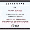 Powiększ obraz: certificate 7