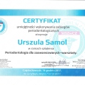Powiększ obraz: certificate 9