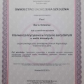 Powiększ obraz: certificate 6