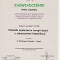 Powiększ obraz: certificate 56