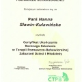 Powiększ obraz: certificate 3