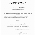 Powiększ obraz: certificate 2
