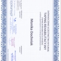 Powiększ obraz: certificate 8