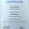 Powiększ obraz: certificate 4