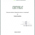 Powiększ obraz: certificate 6