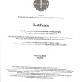 Powiększ obraz: certificate 19