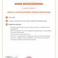 Powiększ obraz: certificate 3