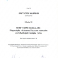 Powiększ obraz: certificate 10