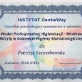 Powiększ obraz: certificate 11