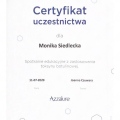 Powiększ obraz: certificate 28