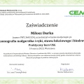 Powiększ obraz: certificate 2