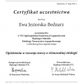 Powiększ obraz: certificate 29