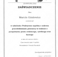 Powiększ obraz: certificate 4
