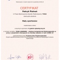 Powiększ obraz: certificate 9