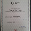 Powiększ obraz: certificate 1