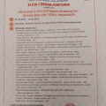 Powiększ obraz: certificate 11