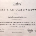 Powiększ obraz: certificate 8