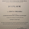 Powiększ obraz: certificate 17