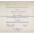 Powiększ obraz: certificate 1