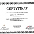 Powiększ obraz: certificate 9