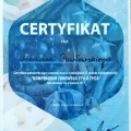 Powiększ obraz: certificate 8