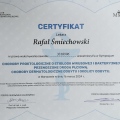 Powiększ obraz: certificate 4