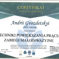 Powiększ obraz: certificate 9