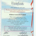 Powiększ obraz: certificate 1