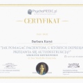 Powiększ obraz: certificate 6