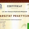 Powiększ obraz: certificate 6