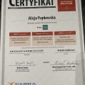 Powiększ obraz: certificate 1