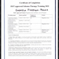 Powiększ obraz: certificate 1