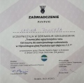 Powiększ obraz: certificate 4