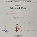 Powiększ obraz: certificate 4