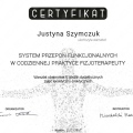 Powiększ obraz: certificate 14