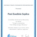 Powiększ obraz: certificate 5